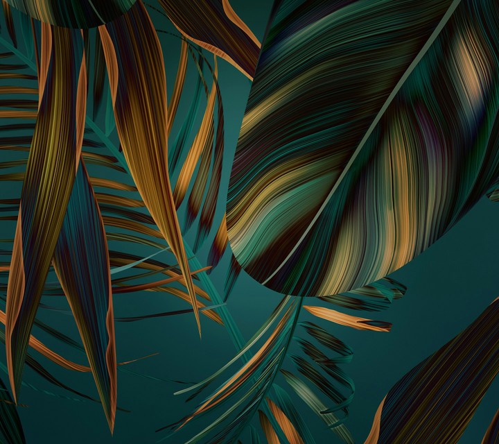 floral abstract