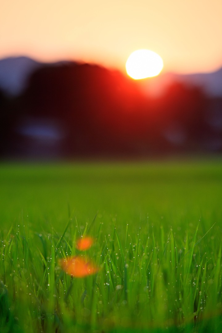 Nature