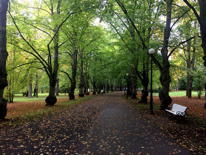 autumn