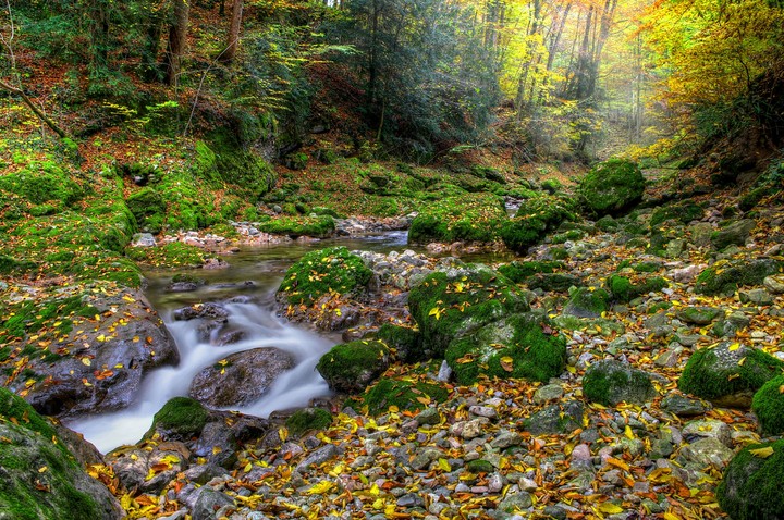 Beautiful Nature