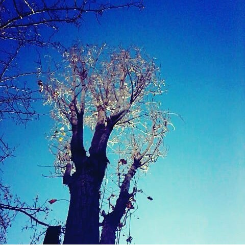 natural
