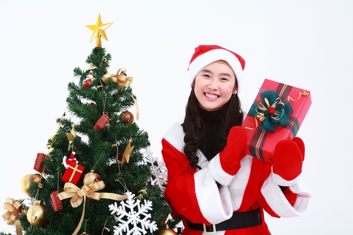 Christmas Costume