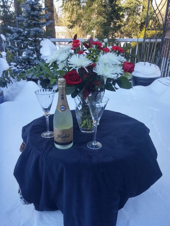 FREIXENET FOR 2