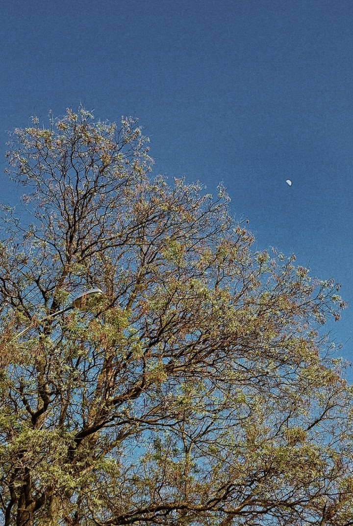 moon