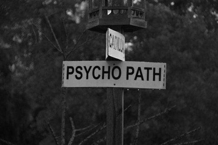 Path Well Travelled