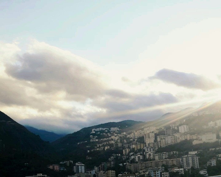 artvin