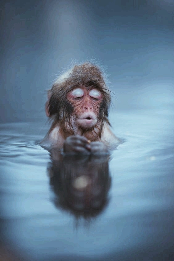 #Serenity#