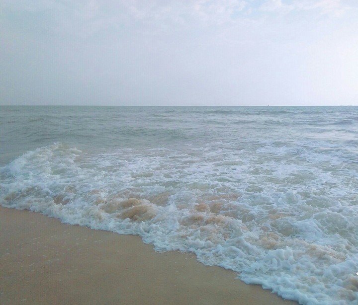 Amazing Nature