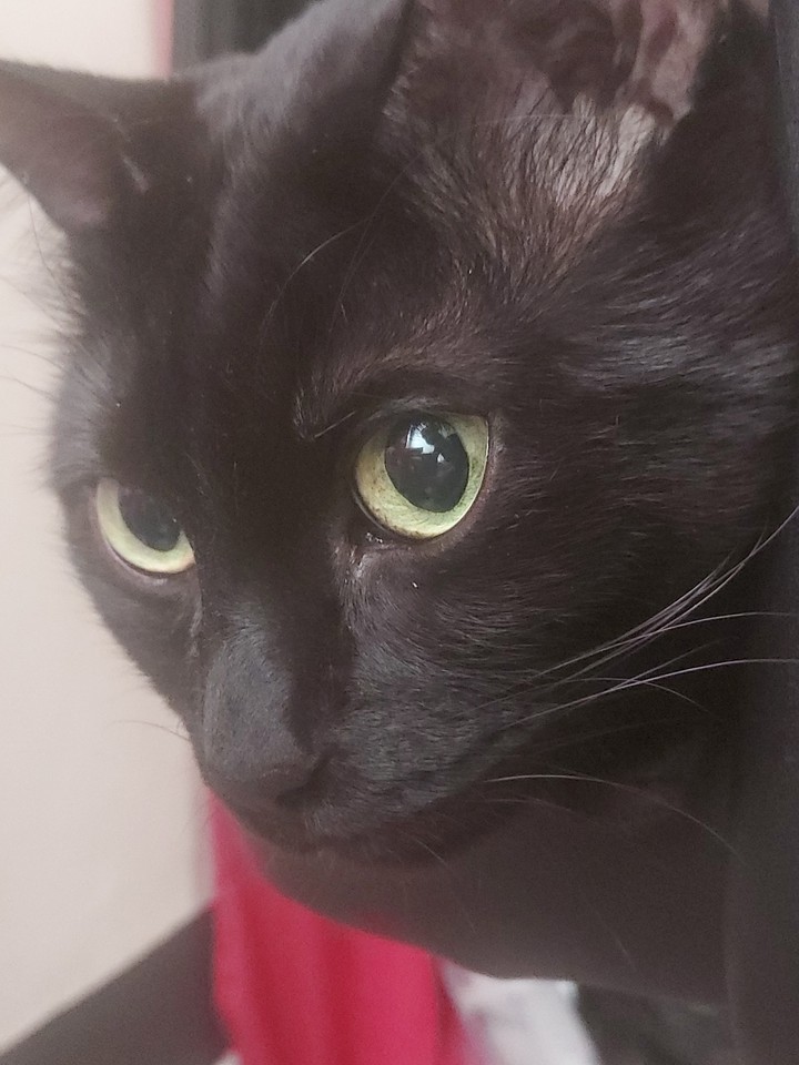 Rocky