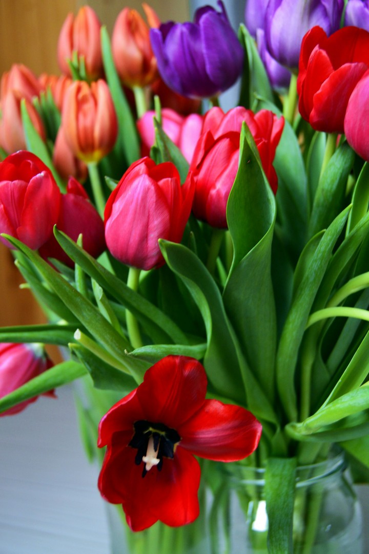 Flowers