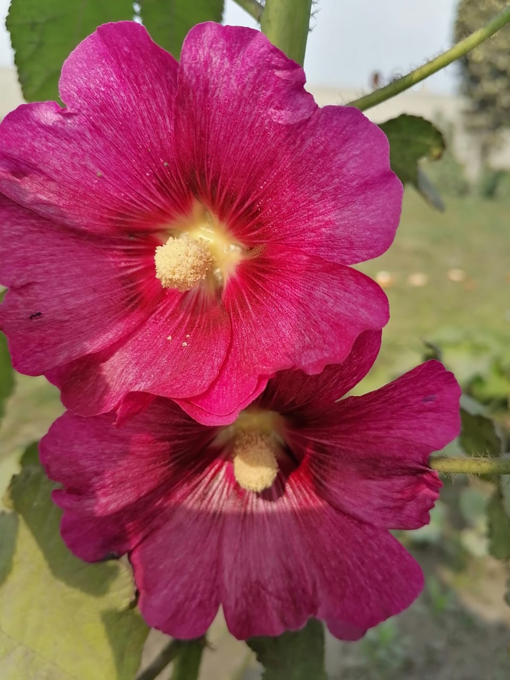 Nature