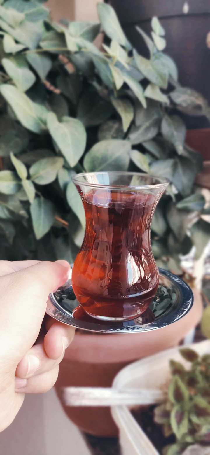 çay