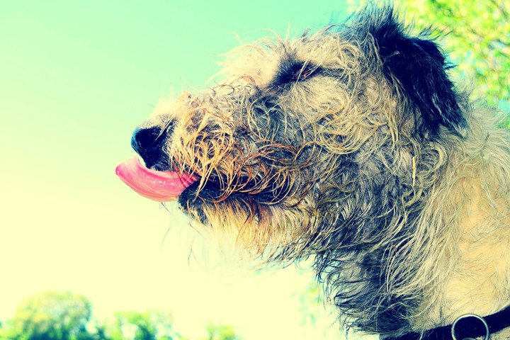 I can taste the summer.