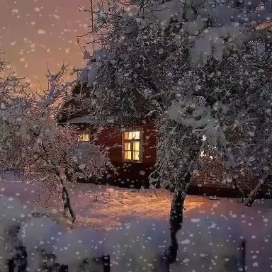 Nature ❄️❄️❄️