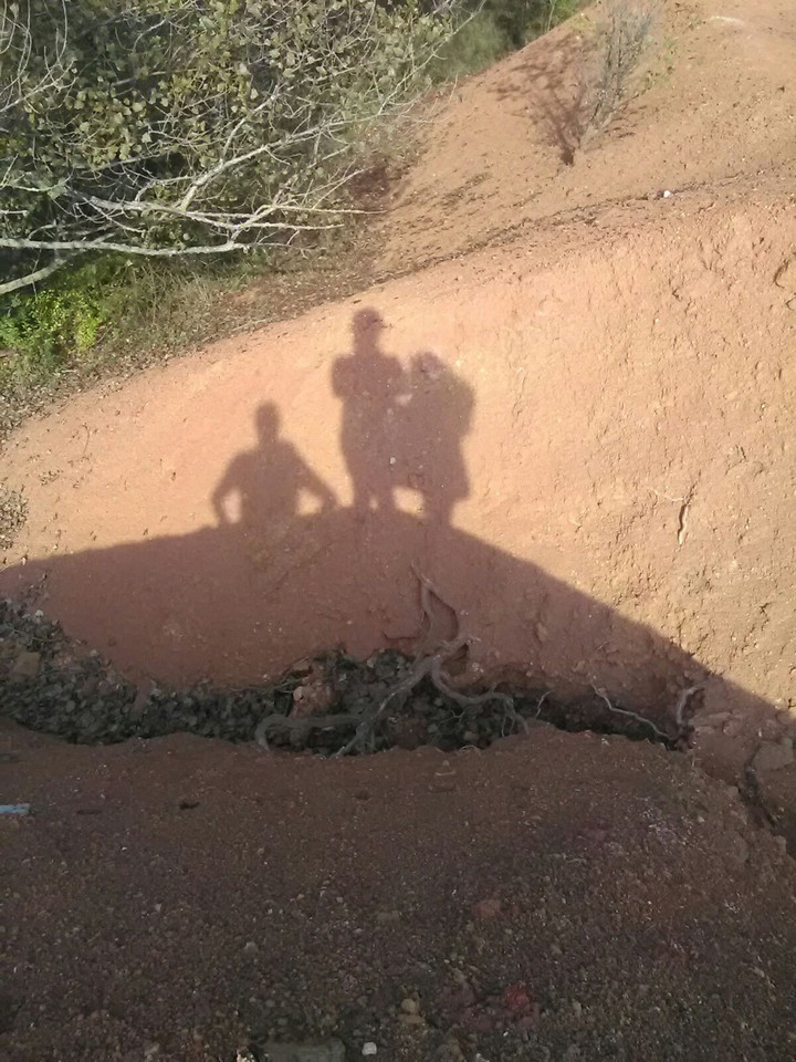 Shadows