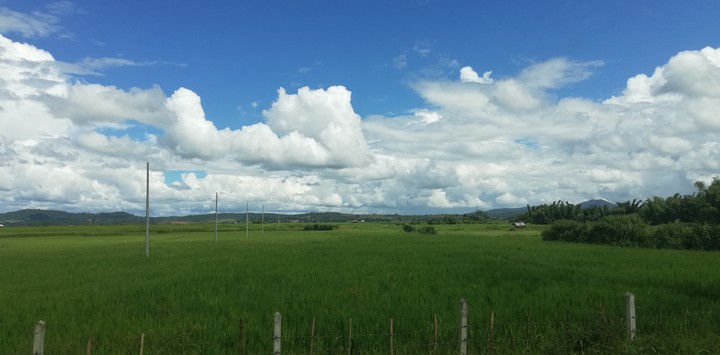 Feel the nature