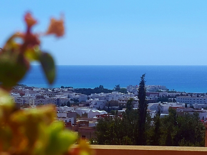 the horizon