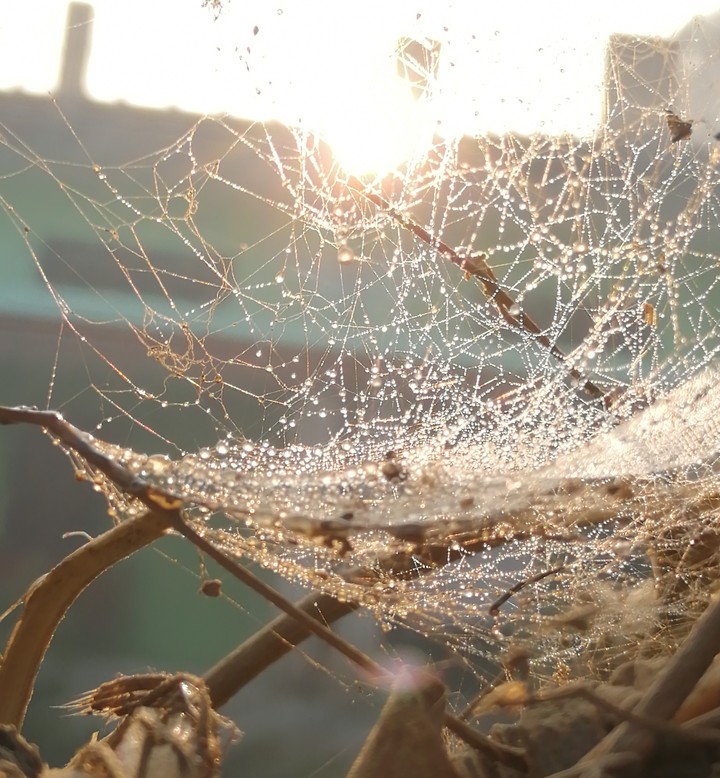 web and drop