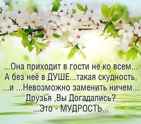 жизнь