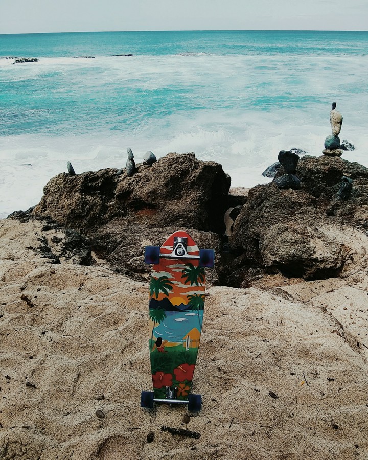 Longboard on the North Shore of Oahu, Hawaii