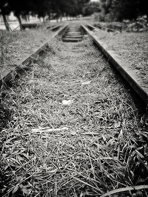 waiting for the train return