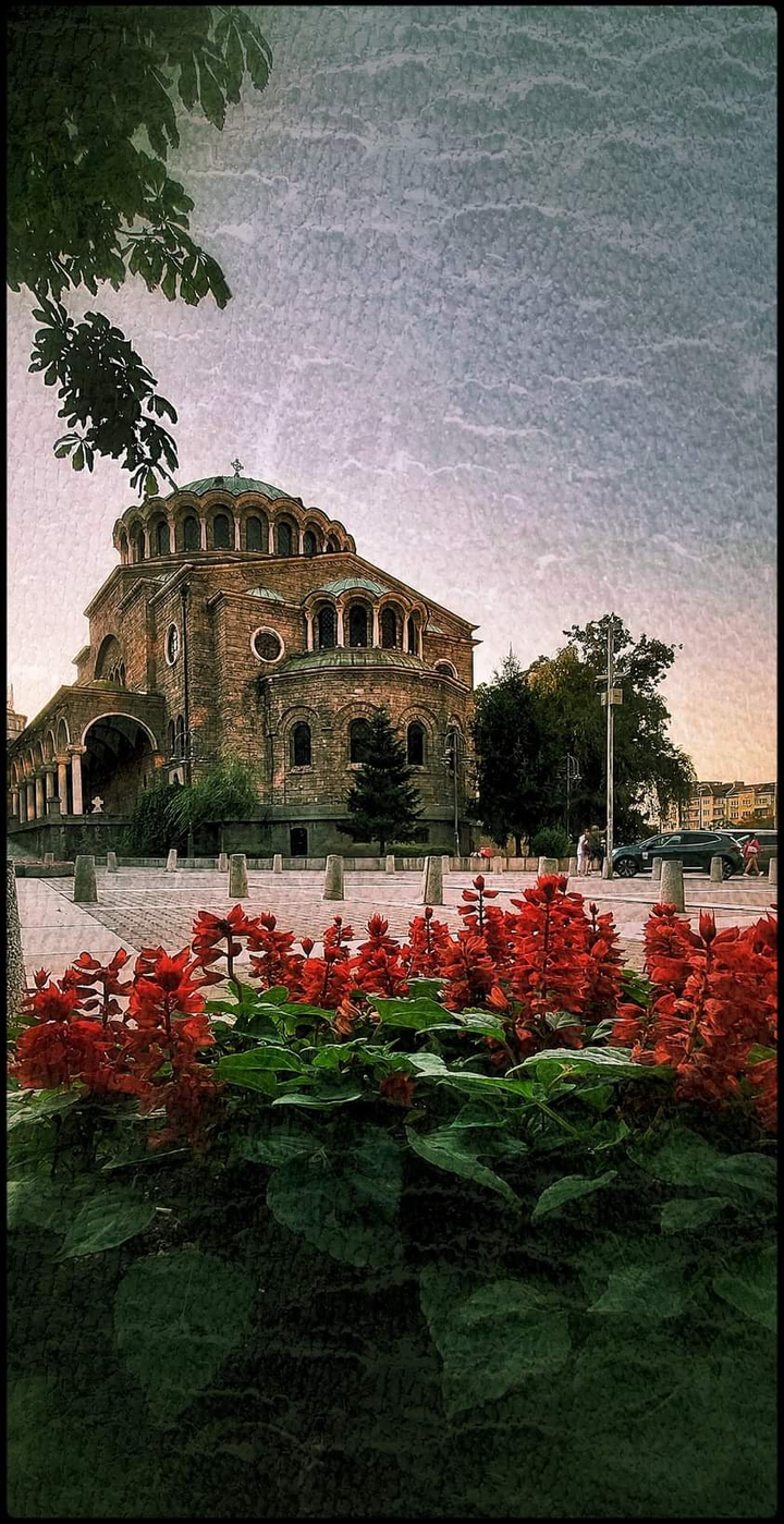 Sofia