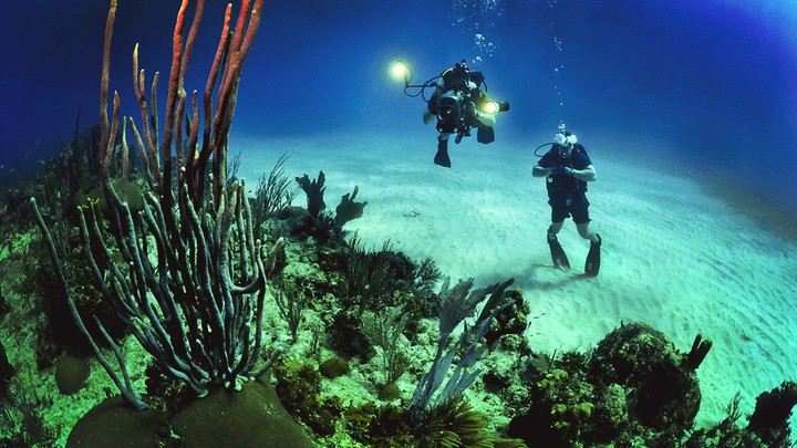 scuba scuba