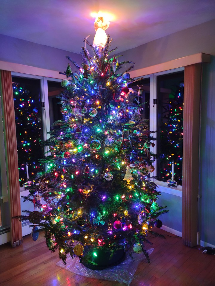 Christmas Tree