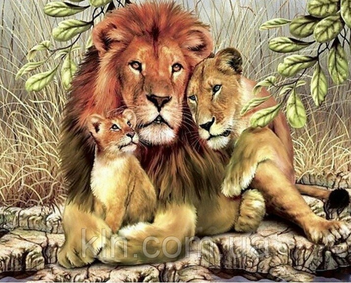 львиный прайд. LION'pride