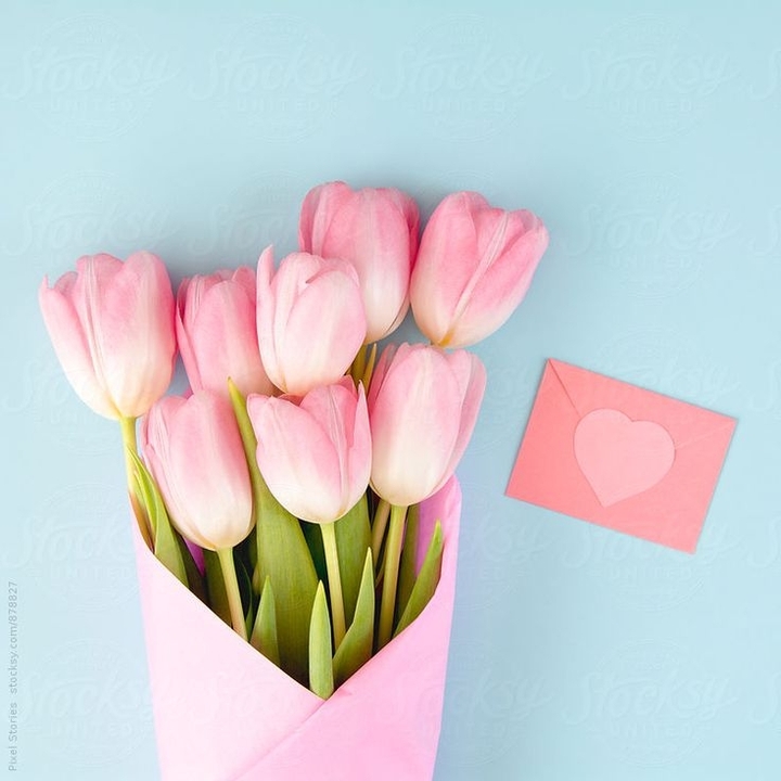amor de rosa