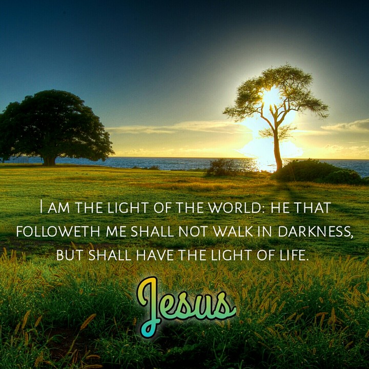 Ligh of Life (Jesus)