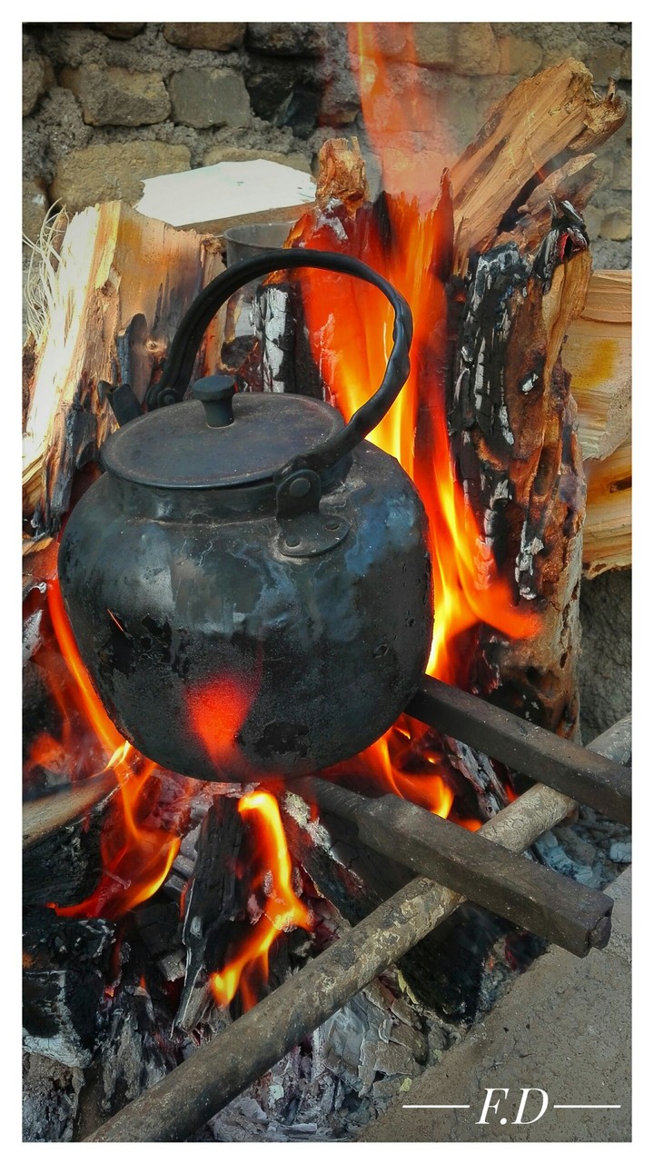 tea