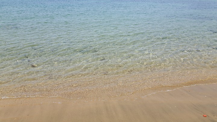 sea