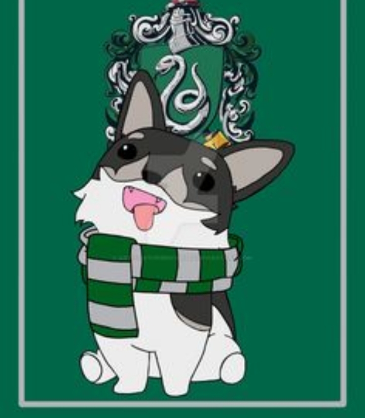 Slytherin Zwei