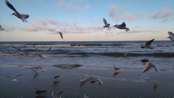 by the Baltic Sea