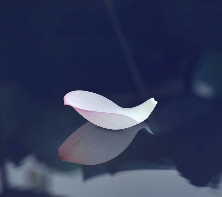 ∆
