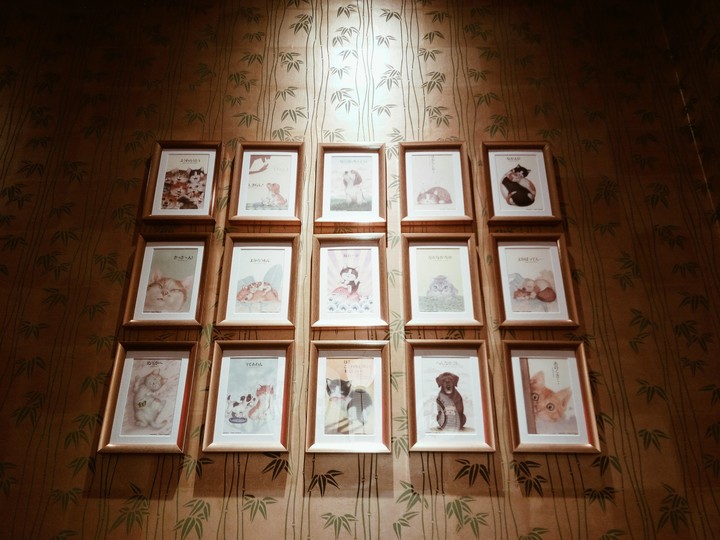 wall of pictures
