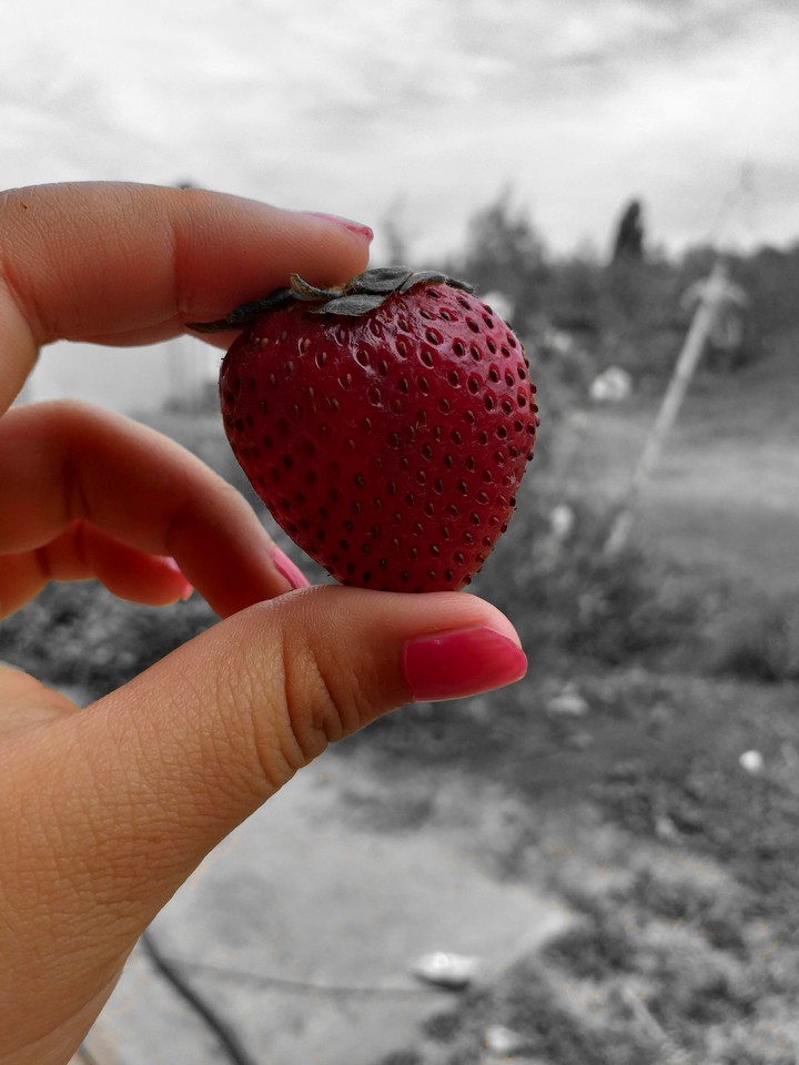 yummi