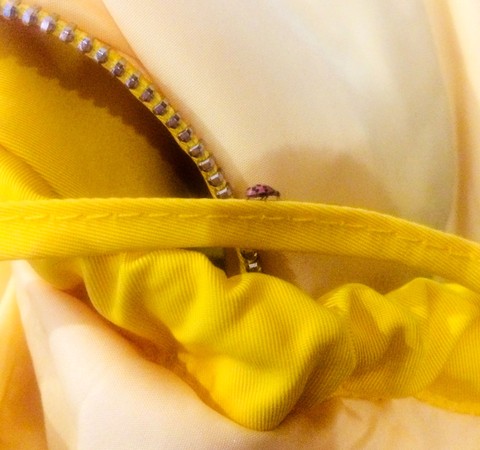 yellow Hintergrundbilder