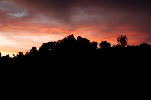 sunrise
