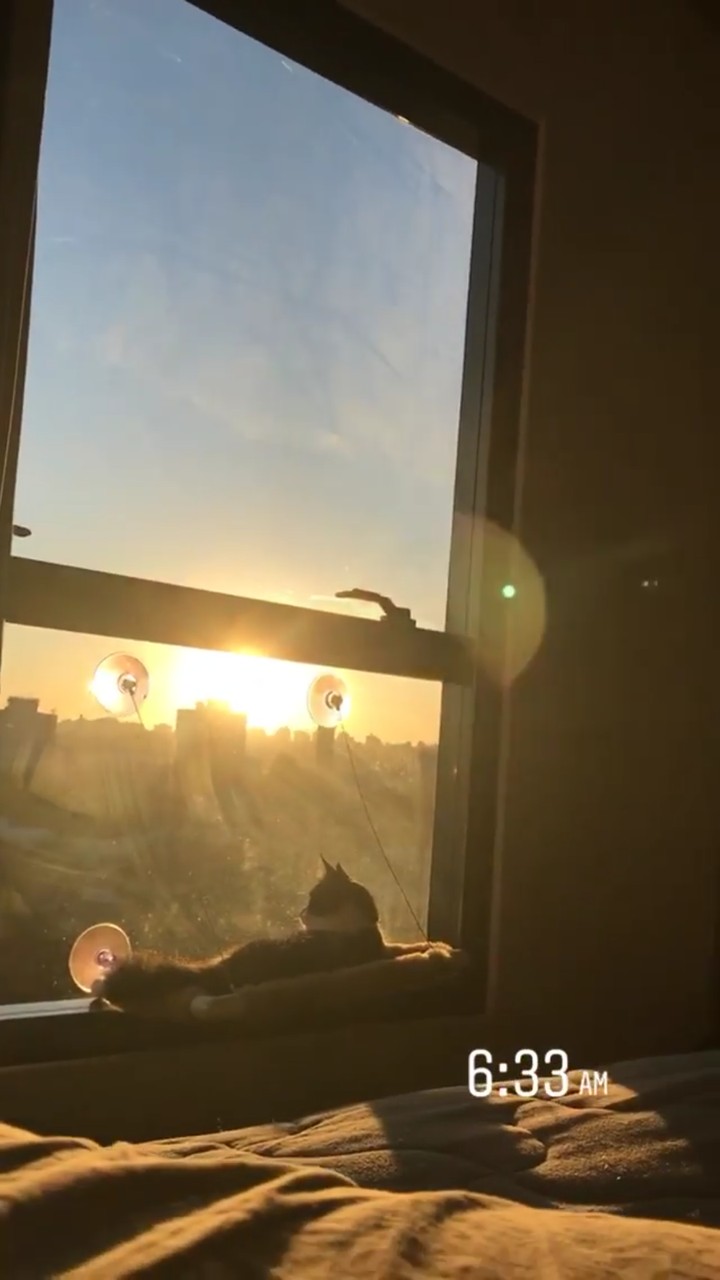 Morning