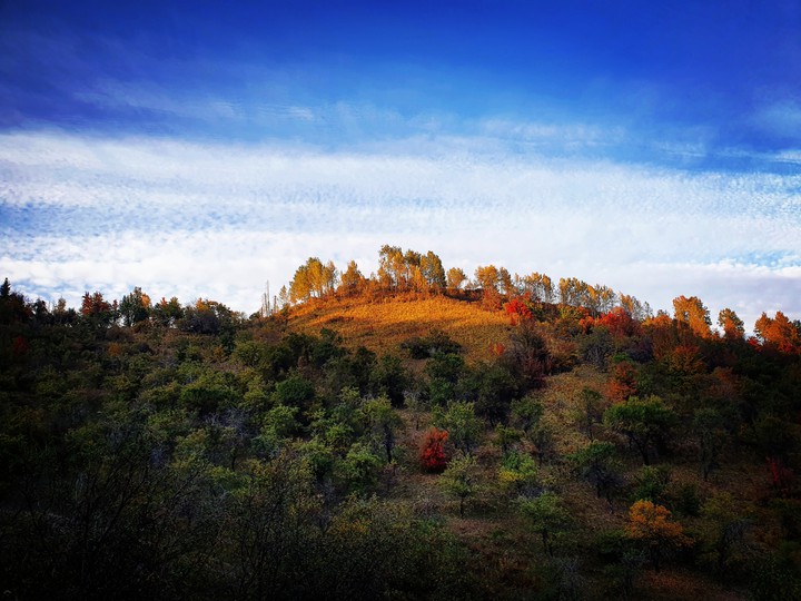 Kazakh mountains
