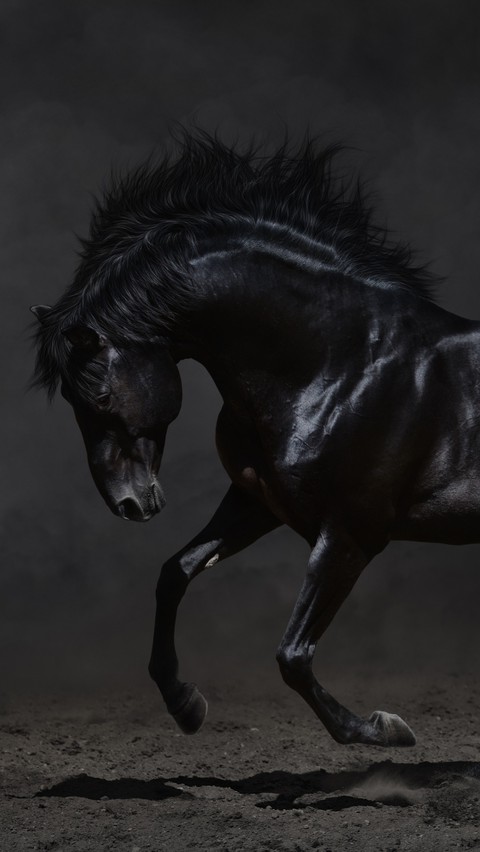 Hors