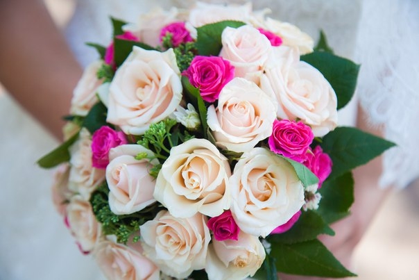 my rose