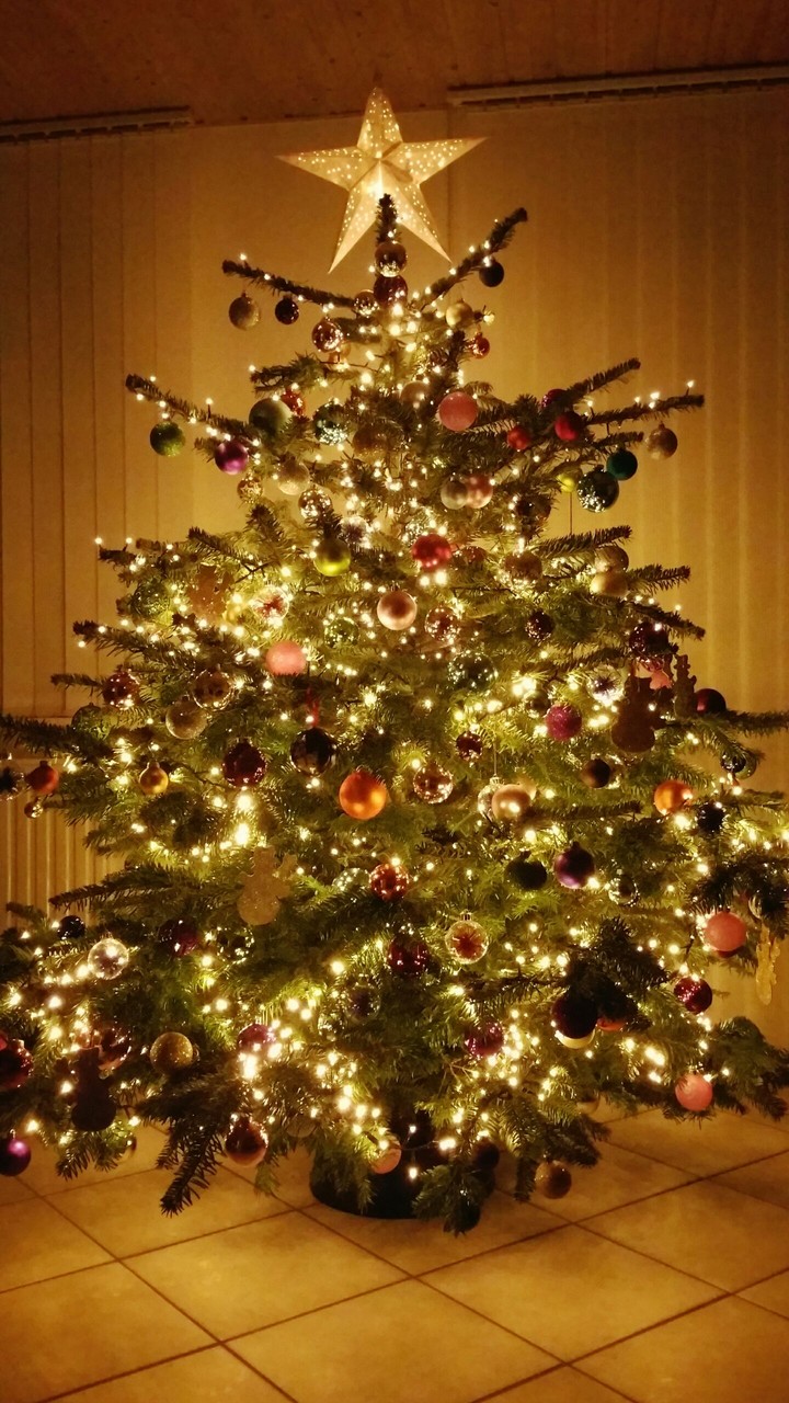 Christmas_tree / Weihnachten 2016 / Weihnachtsbaum