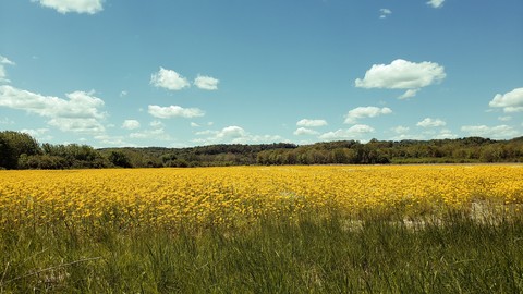 cloud, grassland wallpapers