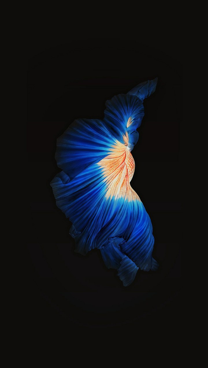 Majestät