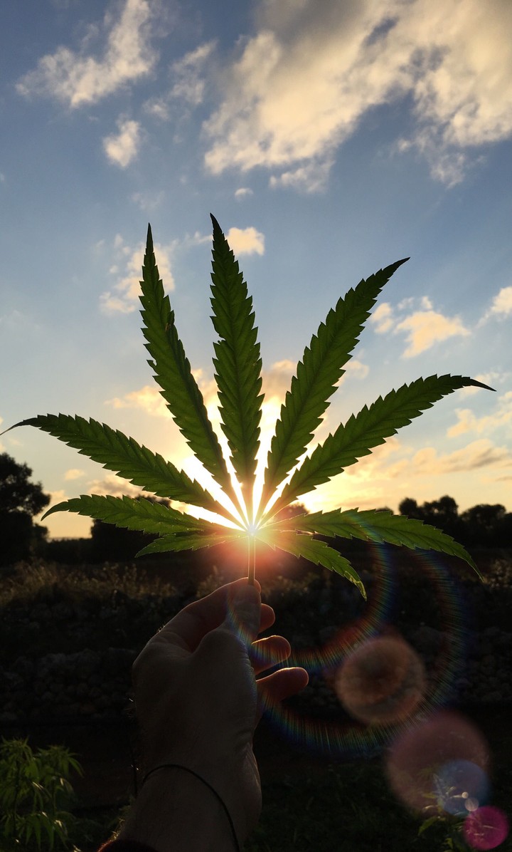 HEMP