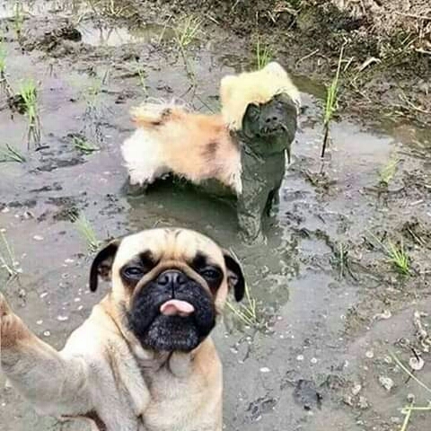 ฮาๆ