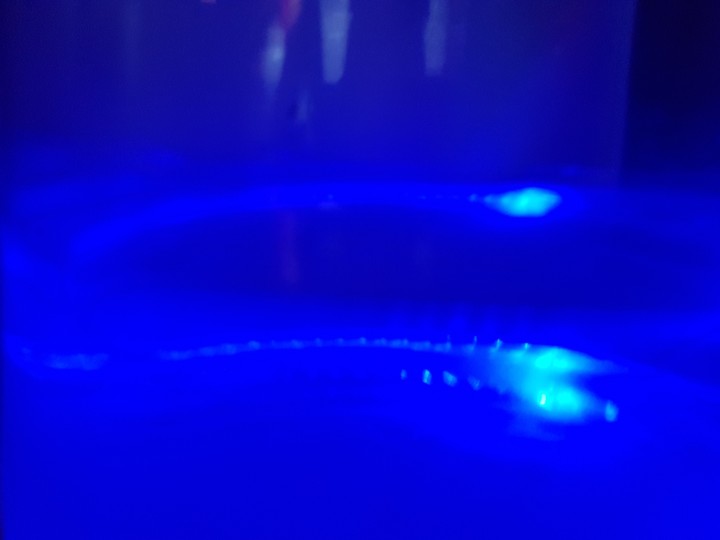 blue water